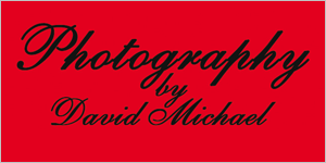 SMSBPartner_DavidMichael Photography by David Michael